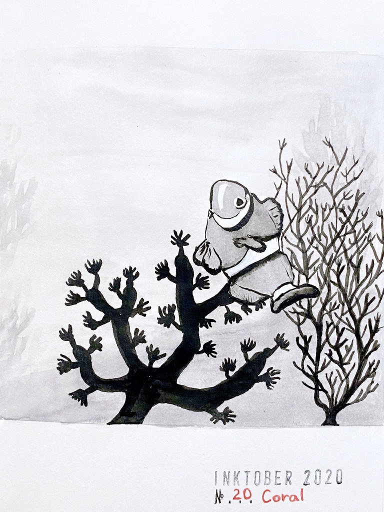 Black and grey ink drawing of a clown fish and coral