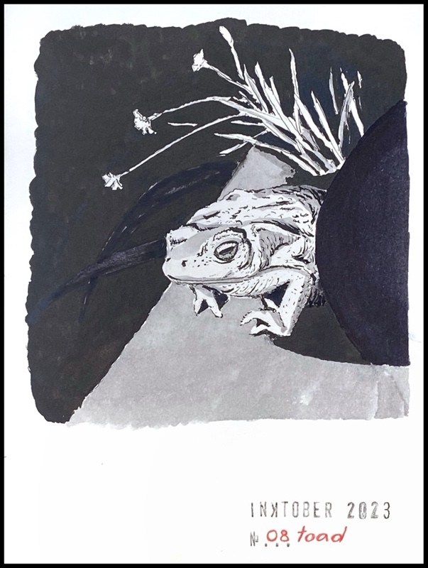 Night scene of a toad emerging next to carnations and a black ball